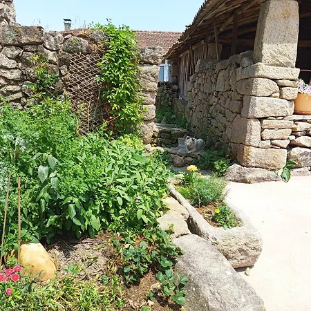 Rural